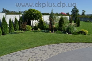 landshaftniy-dnepropetrovsk (5)